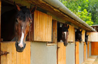 free Golden Park stable construction quotes